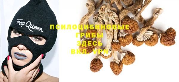 спайс Елизово