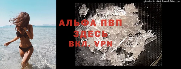 PSILOCYBIN Зерноград