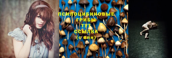 PSILOCYBIN Зерноград