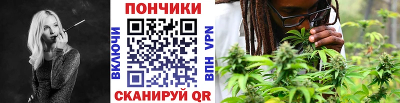 Бошки марихуана Bruce Banner Купить Губкинский
